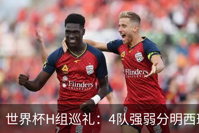 世界杯H组巡礼：4队强弱分明西班牙冲冠 佛得角首次亮相